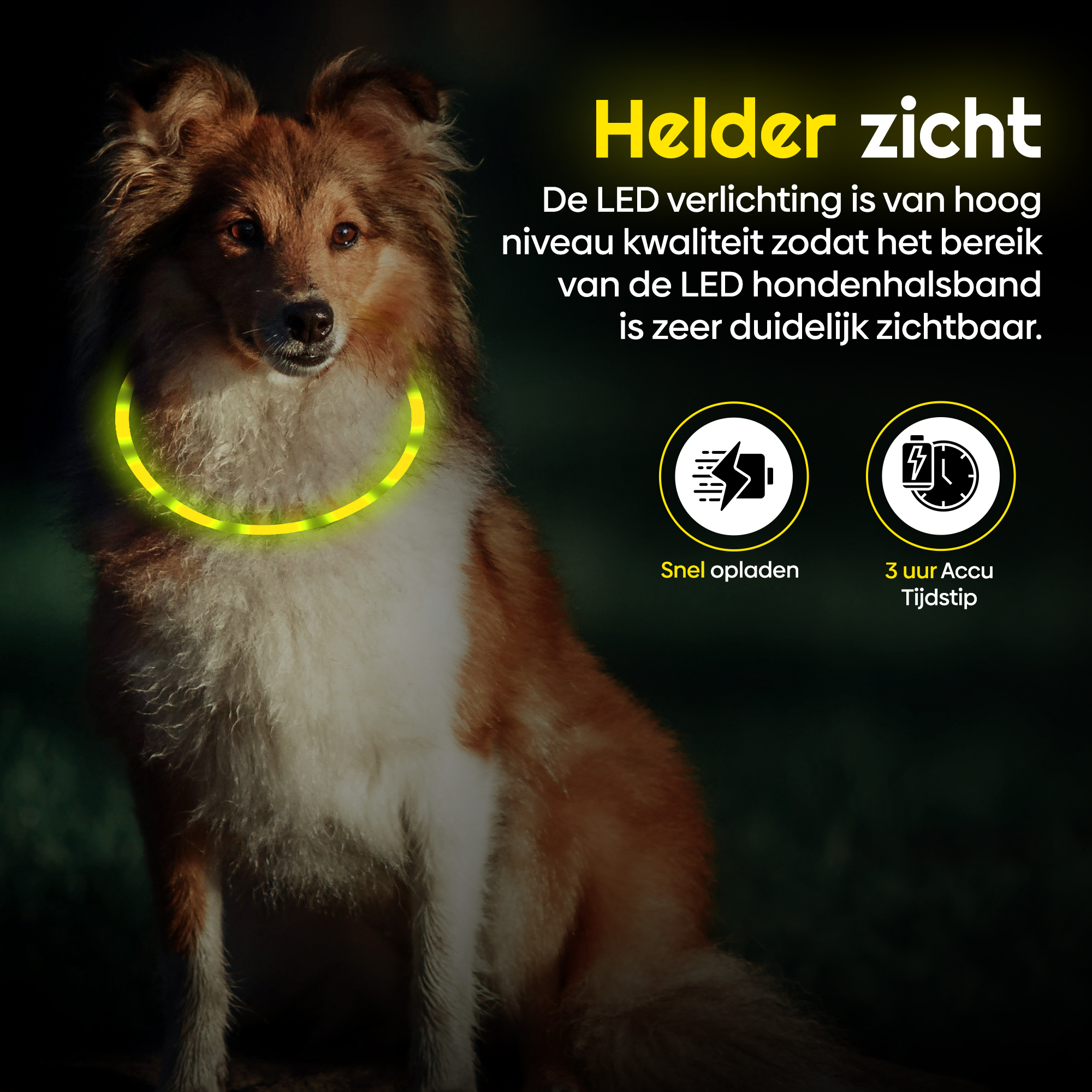 Led Halsband Hond Geel - Afbeelding 2