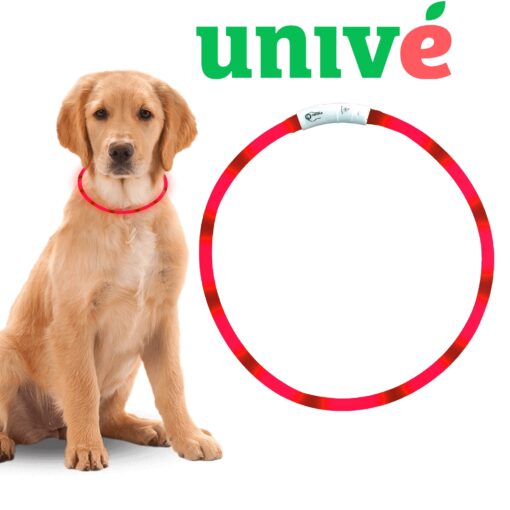 Led Halsband Hond Rood