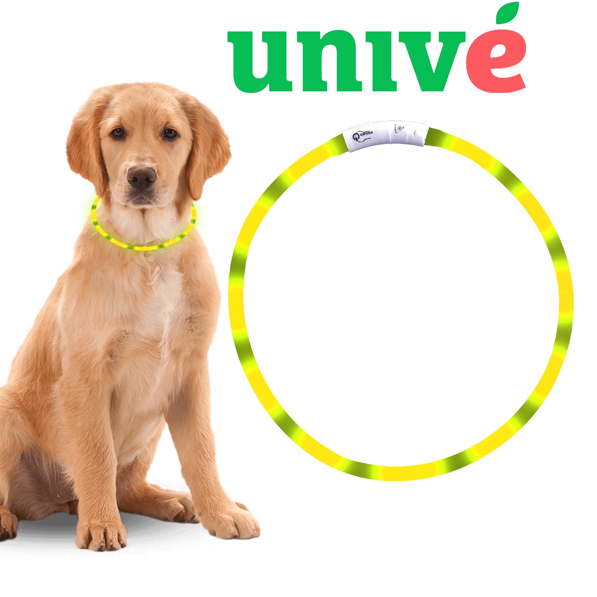 Led Halsband Hond Geel