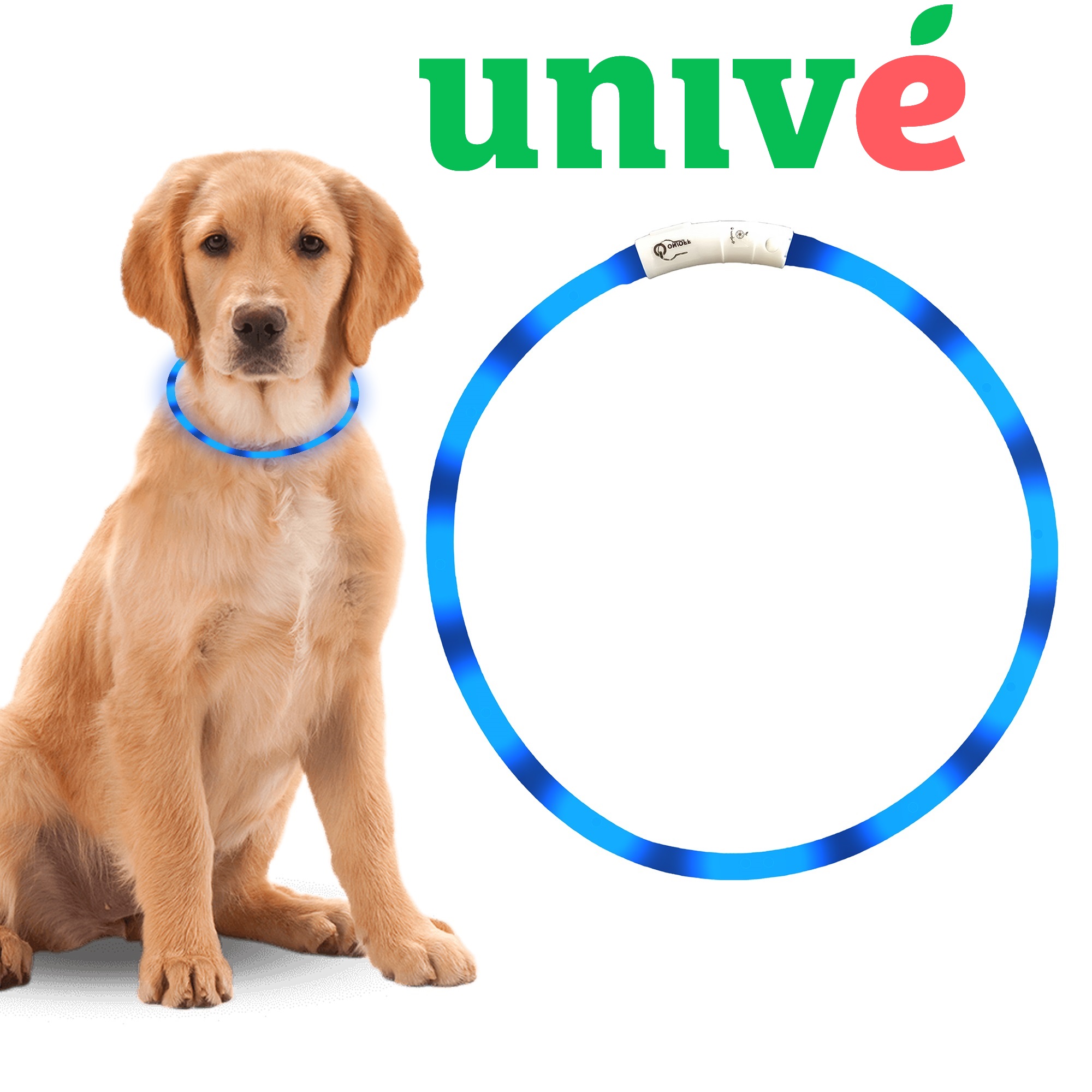 Led Halsband Hond Blauw