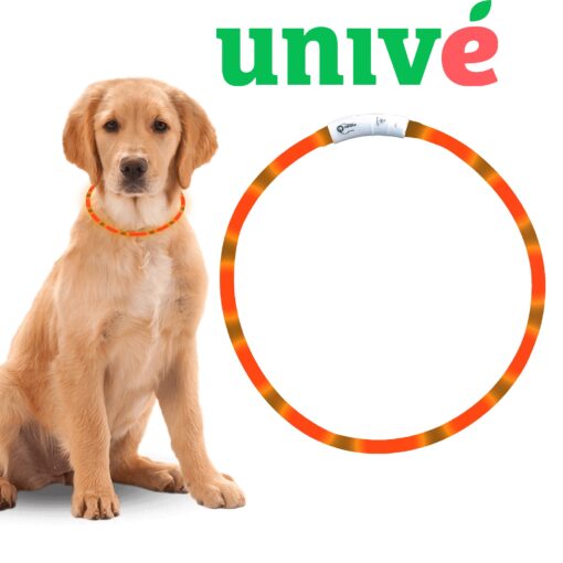 Led Halsband Hond Oranje