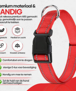 Professor Q Reflecterende hondenhalsband – S – 30–40 cm – rood - detailfoto 3