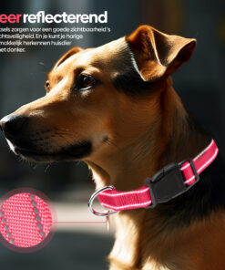 Professor Q Reflecterende hondenhalsband – S – 30–40 cm – lichtroze - detailfoto 2