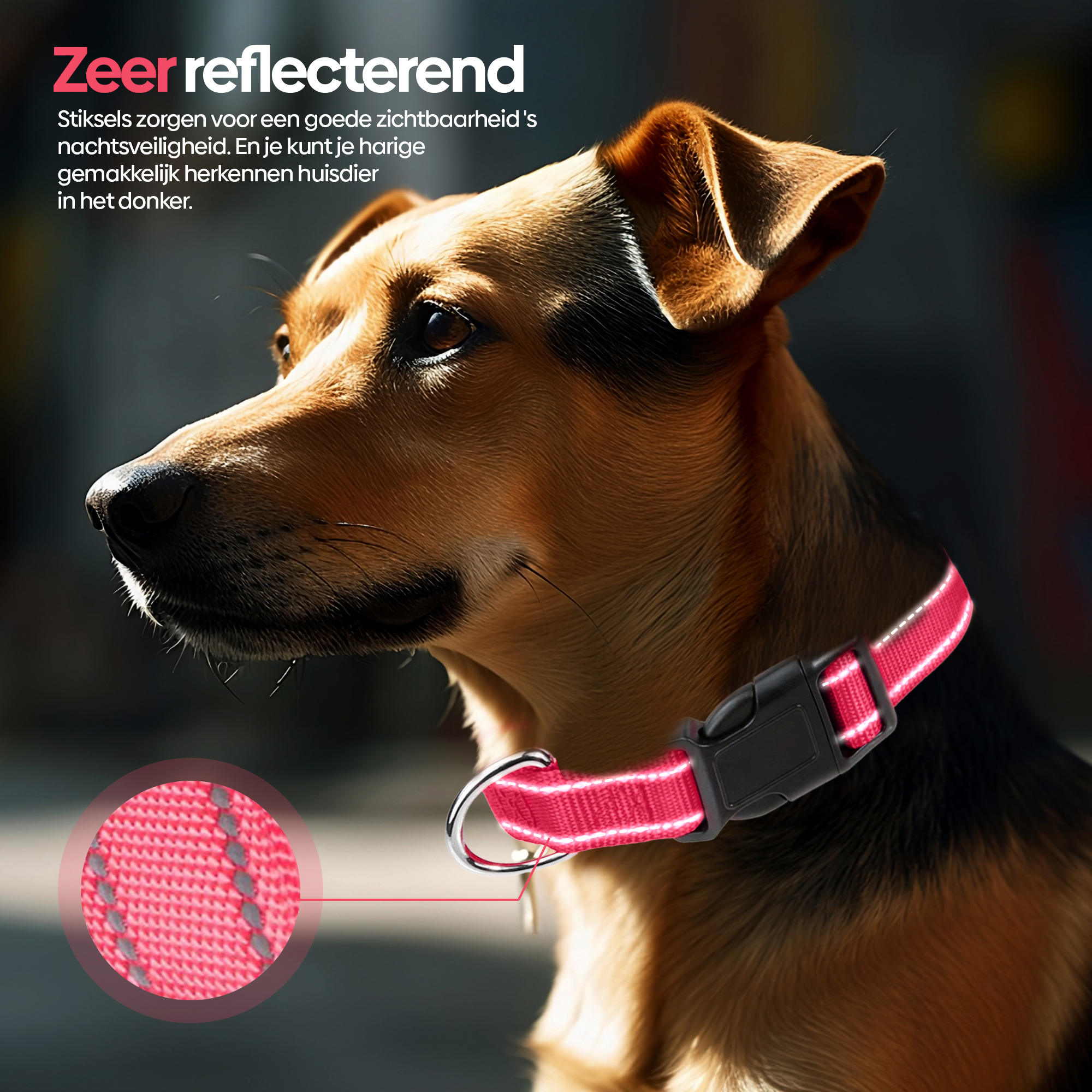 Professor Q Reflecterende hondenhalsband – S – 30–40 cm – lichtroze - detailfoto 2