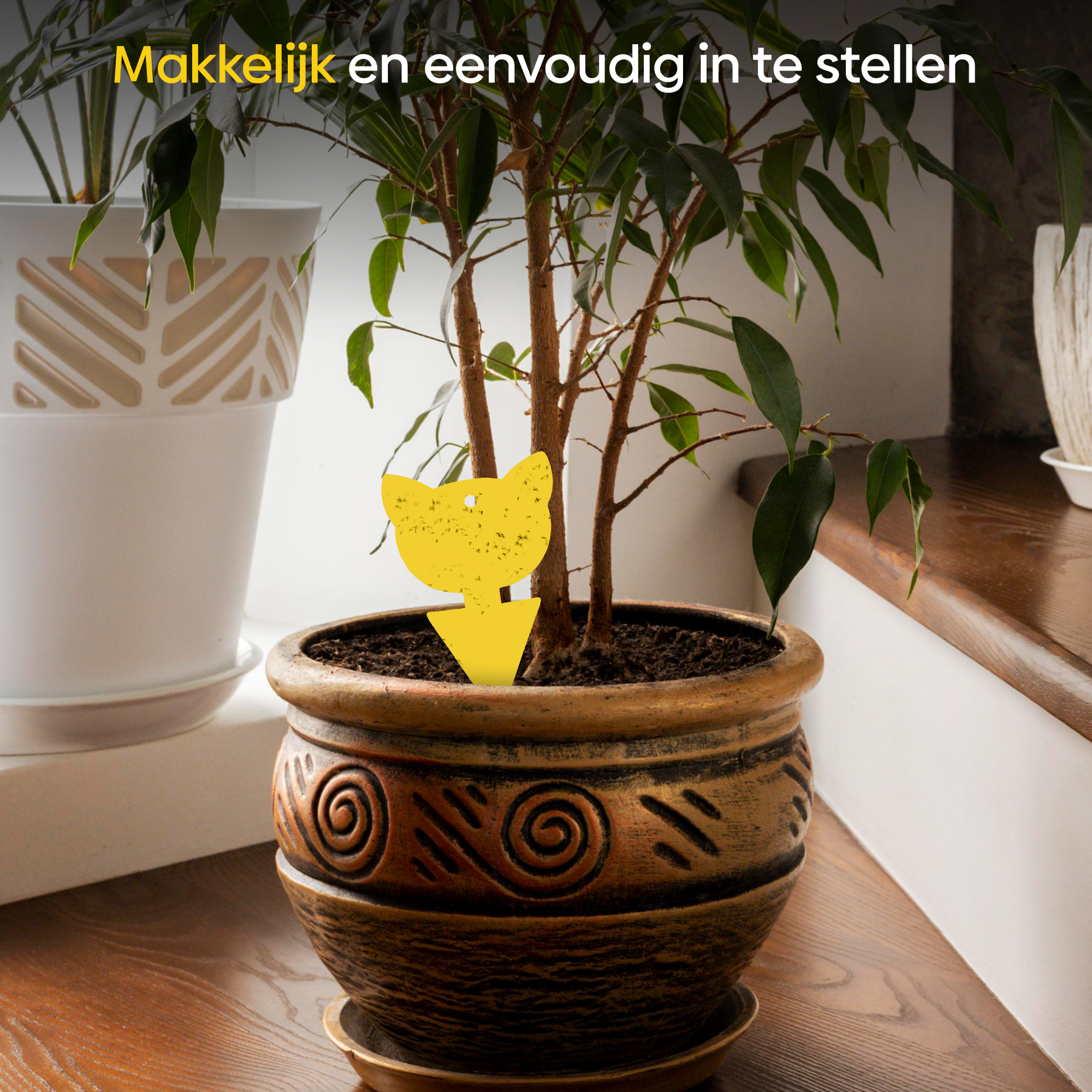 Professor Q Gele vangplaten voor planten – geel – 12 stuks – kattenvorm - detailfoto 3