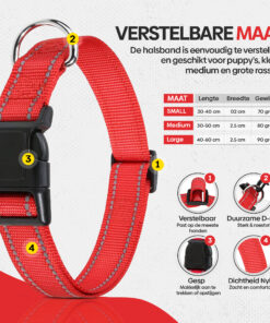 Professor Q Reflecterende hondenhalsband – S – 30–40 cm – rood - detailfoto 4