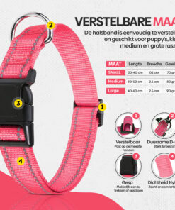Professor Q Reflecterende hondenhalsband – S – 30–40 cm – lichtroze - detailfoto 3