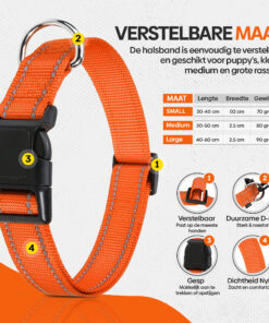 Professor Q Reflecterende hondenhalsband – L – 40–60 cm – oranje - detailfoto 3