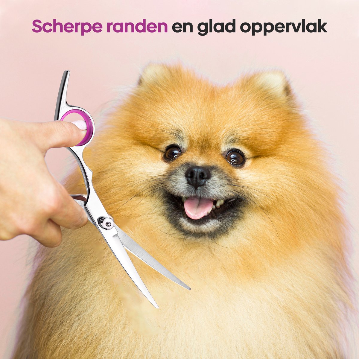 Professor Q Gebogen trimschaar voor honden – 22 cm - detailfoto 4