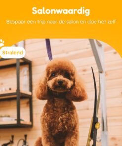 Professor Q Contourschaar voor honden – 18,20 cm – zwart/goud - detailfoto 4