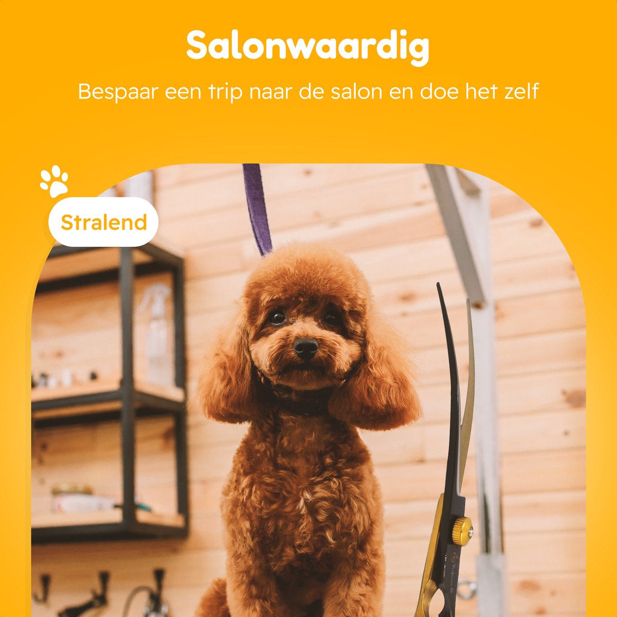 Professor Q Contourschaar voor honden – 18,20 cm – zwart/goud - detailfoto 4