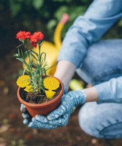 Professor Q Gele vangplaten voor planten – geel – 8 stuks – klavertjes - detailfoto 5