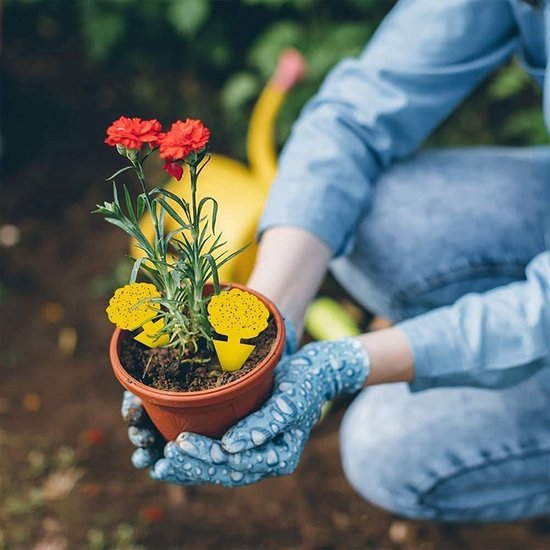 Professor Q Gele vangplaten voor planten – geel – 8 stuks – klavertjes - detailfoto 5