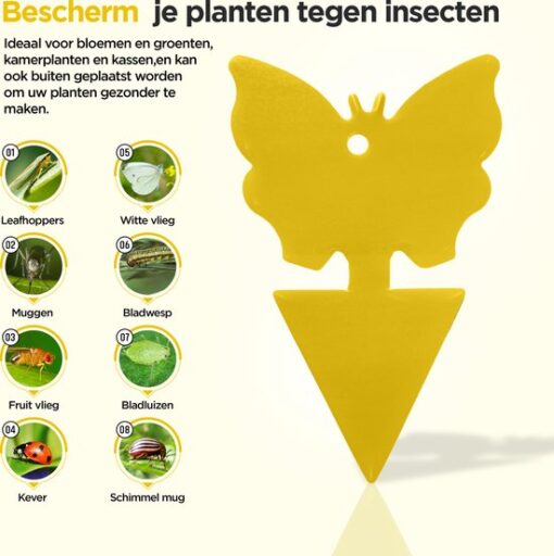 Professor Q Gele kleefstrips voor vliegen – geel – 12 stuks