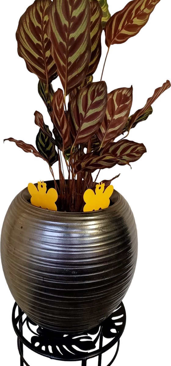 Professor Q Gele vangplaten voor planten – geel – 10 stuks – vlinders - detailfoto 3