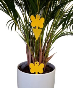 Professor Q Gele vangplaten voor planten – geel – 10 stuks – vlinders - detailfoto 4