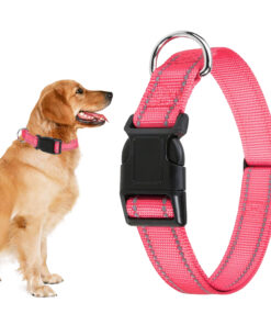 Professor Q Reflecterende hondenhalsband – S – 30–40 cm – lichtroze