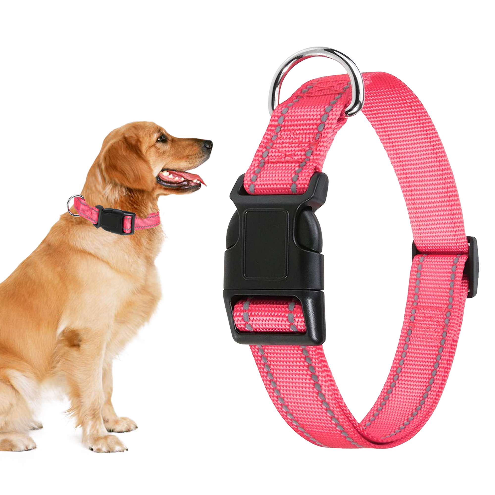 Professor Q Reflecterende hondenhalsband – S – 30–40 cm – lichtroze