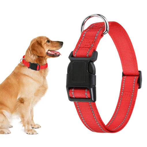 Professor Q Reflecterende hondenhalsband – S – 30–40 cm – rood
