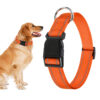 Professor Q Reflecterende hondenhalsband – L – 40–60 cm – oranje