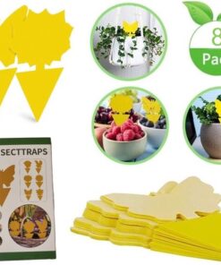 Professor Q gele vangplaten voor planten – verpakking van 8 stuks
