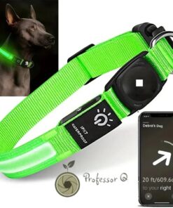 Professor Q NightGlow Reflect LED-halsband – AirTag-houder, zonder AirTag – S – 30–39 cm – groen