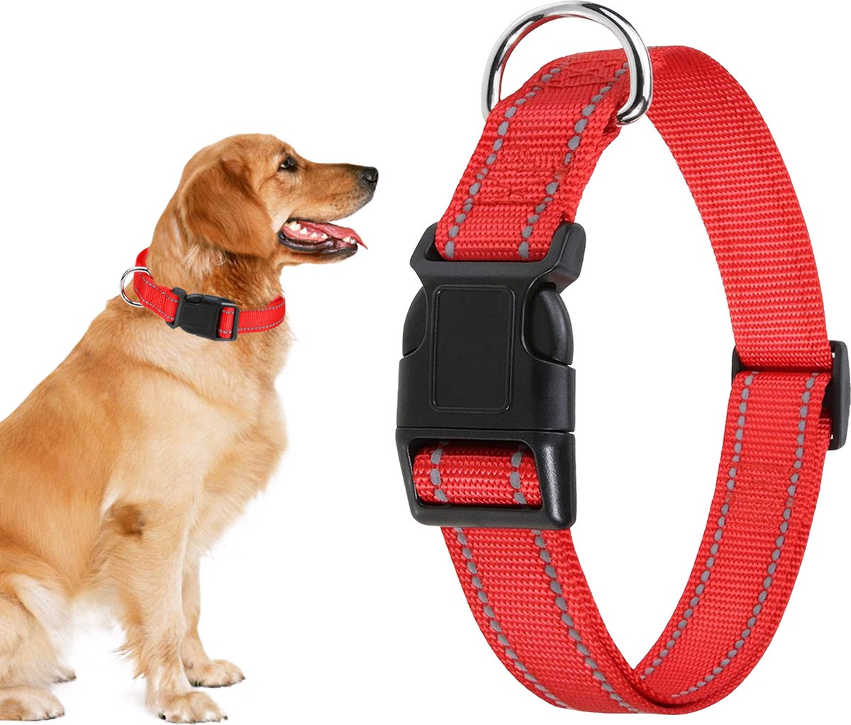 Professor Q Reflecterende hondenhalsband – M – 35–50 cm – rood