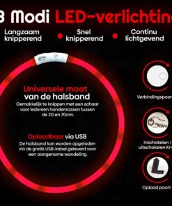 Professor Q LED-halsband voor honden – S – 100 poepzakjes – rood