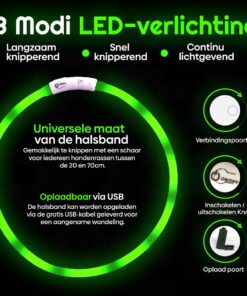Drie lichtstanden en USB-aansluiting van een groene Professor Q LED-halsband