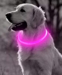 Professor Q LED-halsband voor honden – M – roze