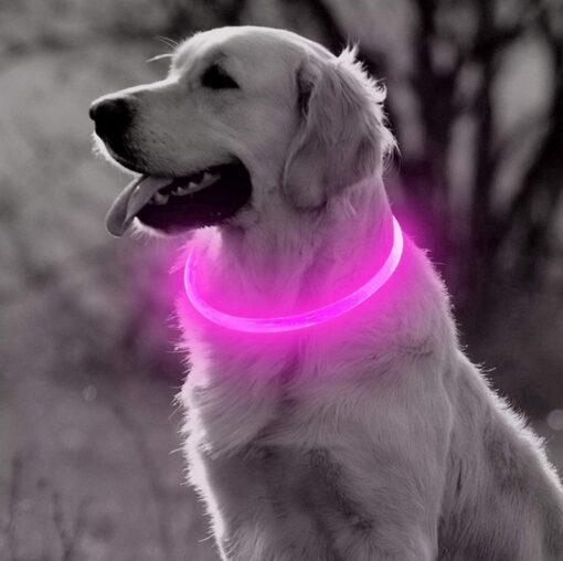 Professor Q LED-halsband voor honden – XL – roze