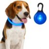 Professor Q LED-halsband voor honden – met lampje blauw – M – blauw