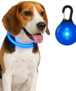 Professor Q LED-halsband voor honden – met lampje blauw – M – blauw