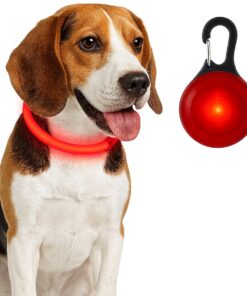 Professor Q LED-halsband voor honden – met led lampje voor – XL – 60-70 cm – rood