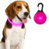 Professor Q LED-halsband voor honden – L – 65 cm – roze
