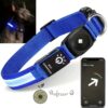 Professor Q NightGlow Reflect LED-halsband – AirTag-houder, zonder AirTag – L – 39–55 cm – blauw