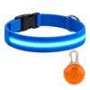Professor Q Nylon LED-halsband voor honden – met led lampje oranje – XS – 28–32 cm – blauw
