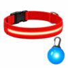 Professor Q Nylon LED-halsband voor honden – met led lampje blauw – XS – 28–32 cm – rood