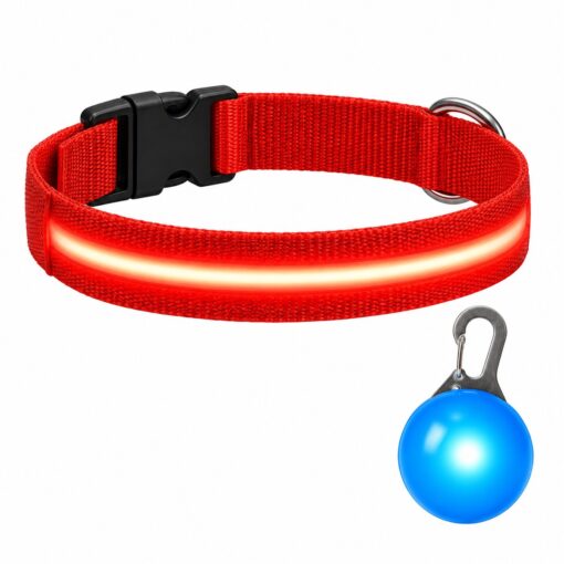 Professor Q Nylon LED-halsband voor honden – met led lampje blauw – S – 34–41 cm – rood