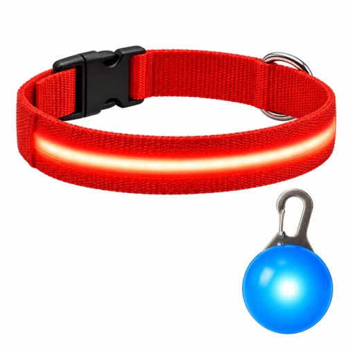 Professor Q Nylon LED-halsband voor honden – met led lampje blauw – L – 41–52 cm – rood