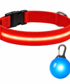 Professor Q Nylon LED-halsband voor honden – met led lampje blauw – XL – 42–56 cm – rood
