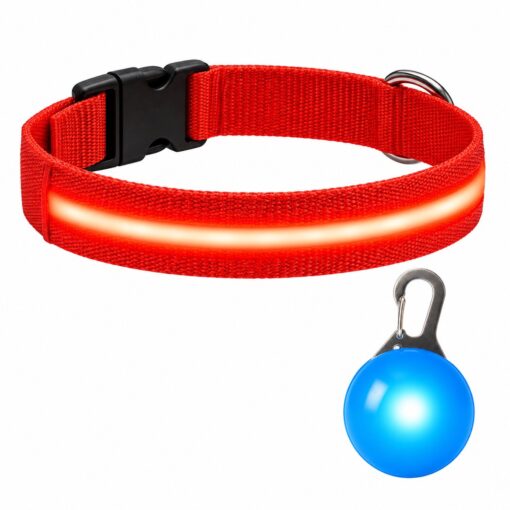 Professor Q Nylon LED-halsband voor honden – met led lampje blauw – XL – 42–56 cm – rood