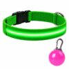 Professor Q Nylon LED-halsband voor honden – met led lampje roze – S – 34–41 cm – groen