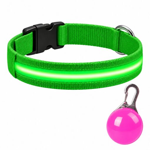 Professor Q Nylon LED-halsband voor honden – met led lampje roze – M – 37–46 cm – groen