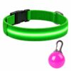 Professor Q Nylon LED-halsband voor honden – met led lampje roze – L – 41–52 cm – groen