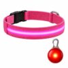 Professor Q Nylon LED-halsband voor honden – met led lampje rood – S – 34–41 cm – roze