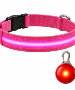 Professor Q Nylon LED-halsband voor honden – met led lampje rood – S – 34–41 cm – roze