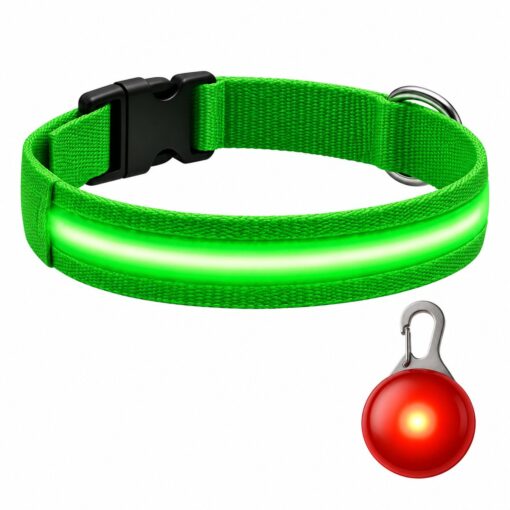 Professor Q Nylon LED-halsband voor honden – met led lampje rood – M – 37–46 cm – groen