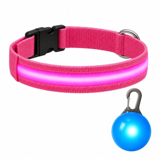 Professor Q Nylon LED-halsband voor honden – met led lampje blauw – M – 37–46 cm – roze