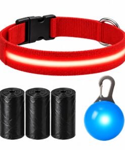 Professor Q Nylon LED-halsband voor honden – met lampje blauw – M – 45 poepzakjes – 37–46 cm – rood/blauw